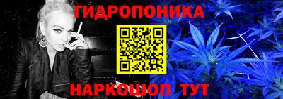 гашик Пыть-Ях