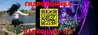 гашик Пыть-Ях
