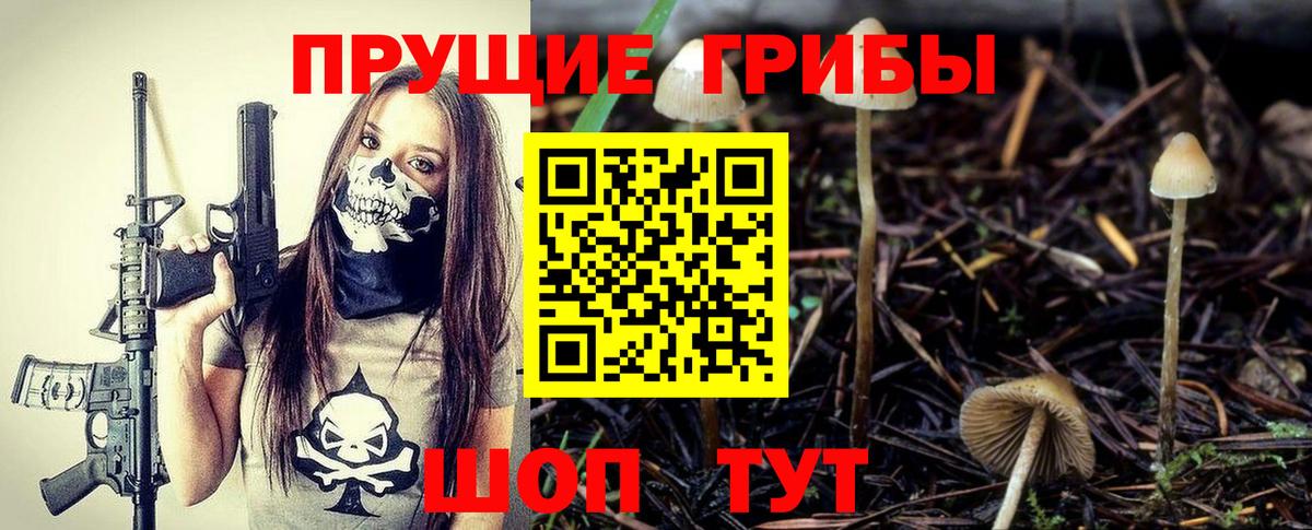 Галлюциногенные грибы ЛСД Аргун