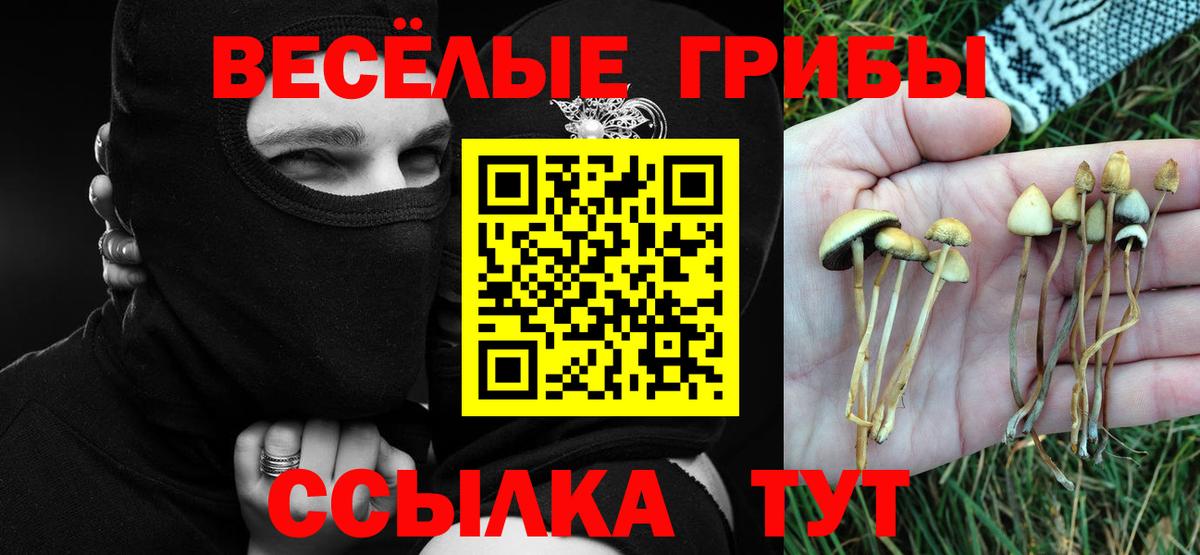 Аргун  Галлюциногенные грибы Magic Shrooms  Вход с VPN 